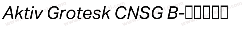 Aktiv Grotesk CNSG B字体转换